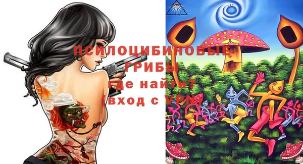 молекула духа Навашино