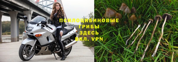 молекула духа Навашино