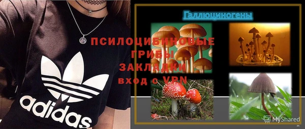 ешки Михайлов