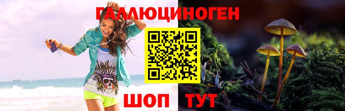 Псилоцибиновые грибы мицелий  Галлюциногенные грибы прущие грибы  Михайловск  Вход с VPN 